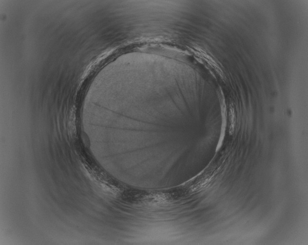 X0000067890492200605041556