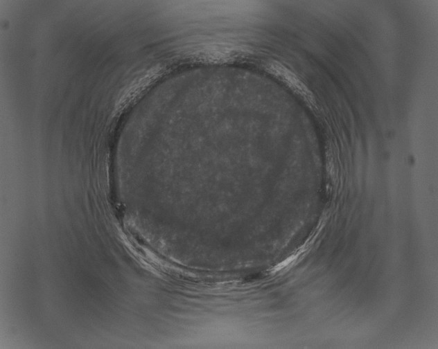 X0000067890493200605041556