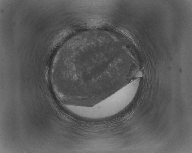 X0000067890495200605041556