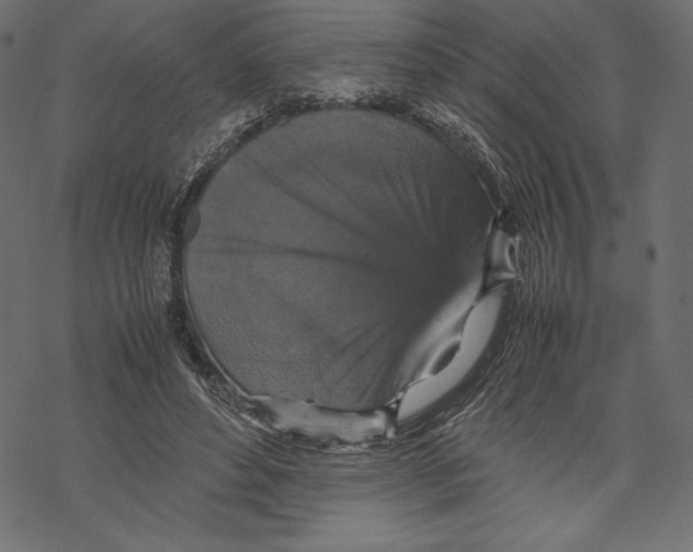 X0000067890496200605041556