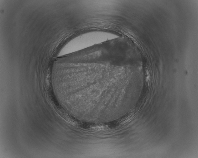 X0000067890499200605041556