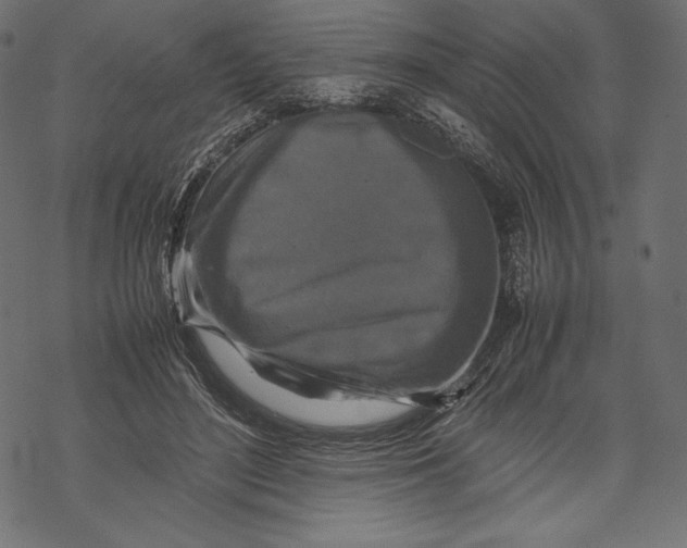 X0000067890500200605041556