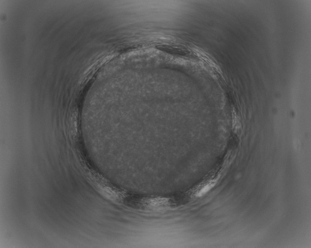 X0000067890501200605041556