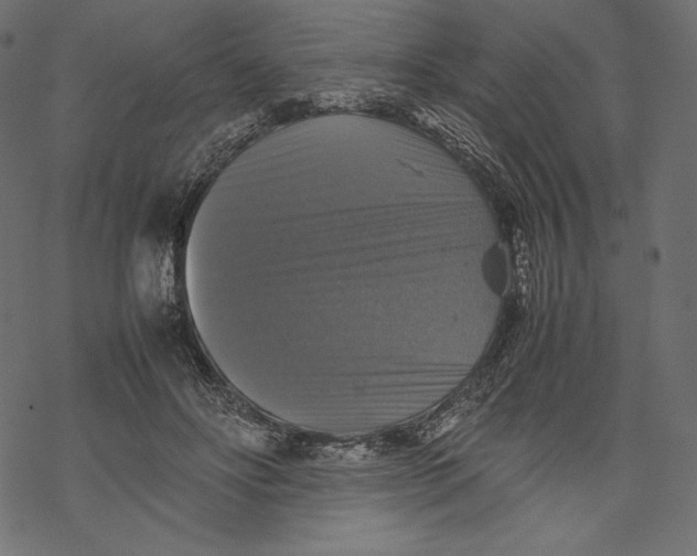 X0000067890502200605041556