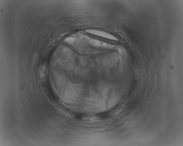 X0000067890503200605041556