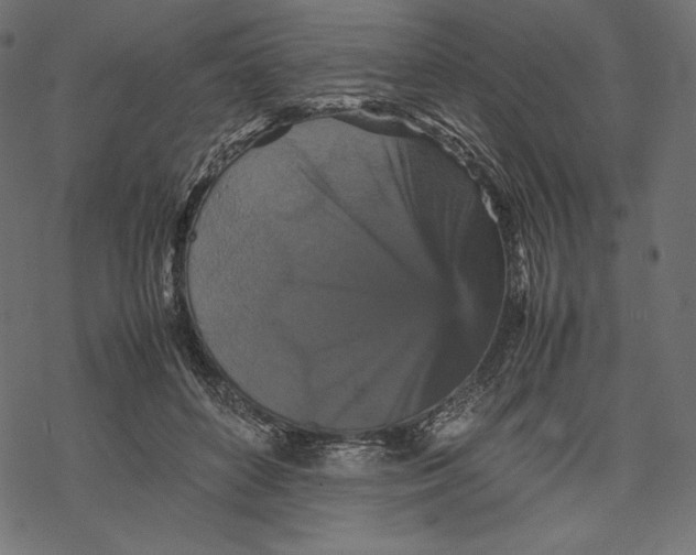 X0000067890504200605041556