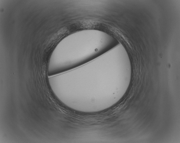 X0000067890505200605041556