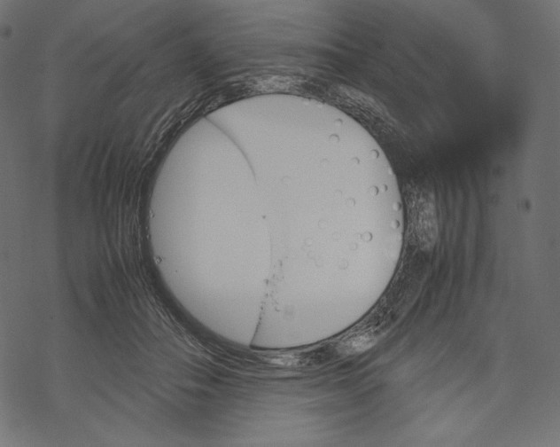 X0000067890506200605041556