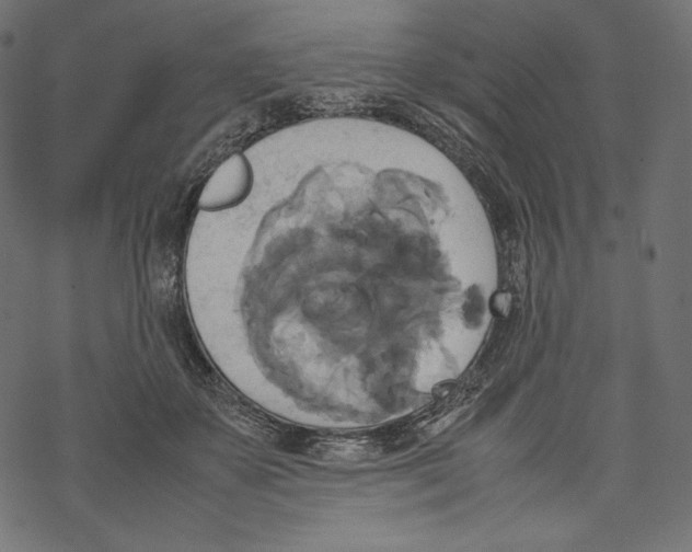 X0000067890507200605041556