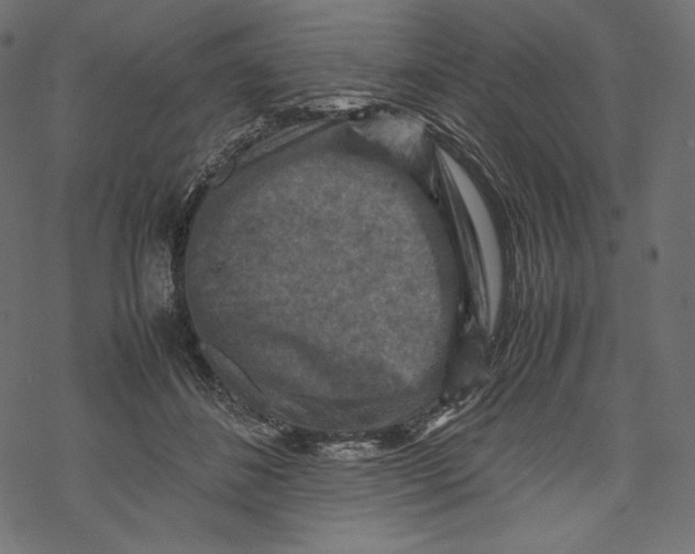 X0000067890508200605041556