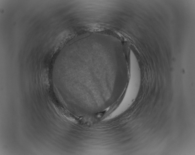 X0000067890512200605041556