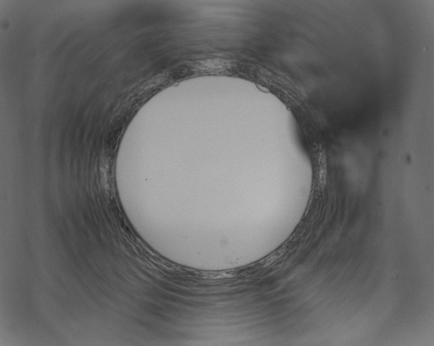 X0000067890514200605041556