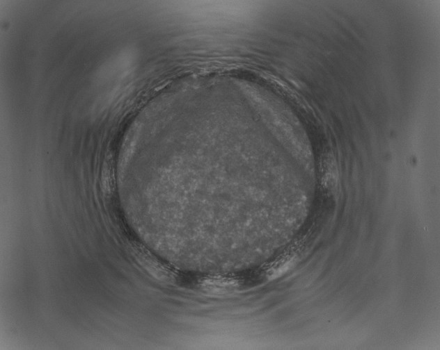 X0000067890515200605041556