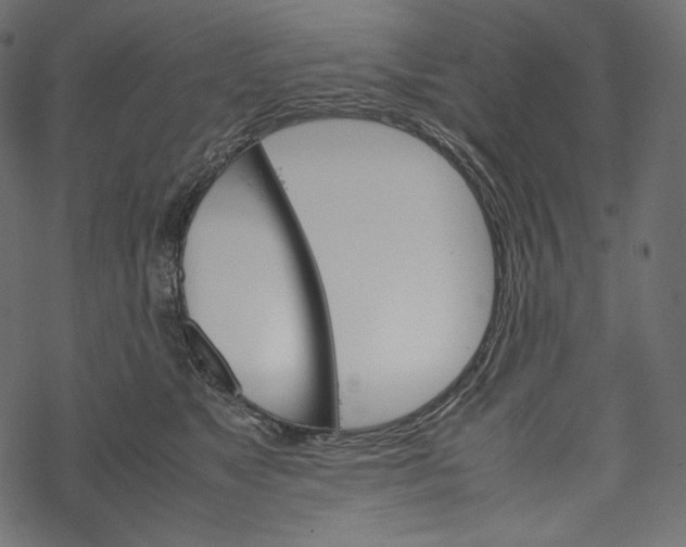 X0000067890517200605041556