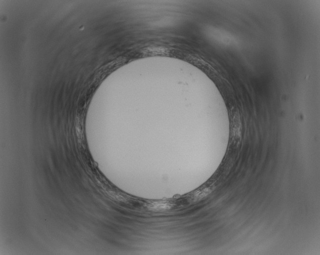 X0000067890518200605041556