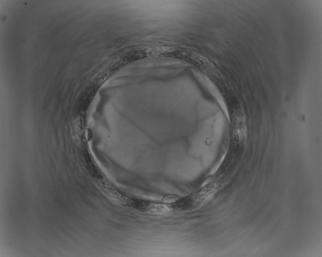 X0000067890519200605041555