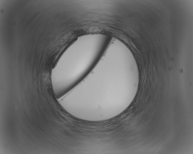 X0000067890521200605041555