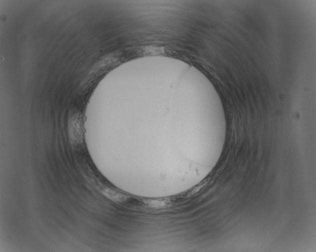 X0000067890522200605041555