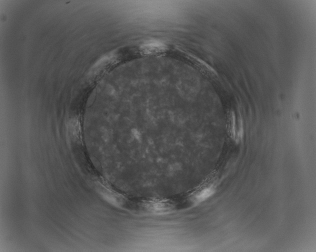 X0000067890523200605041555