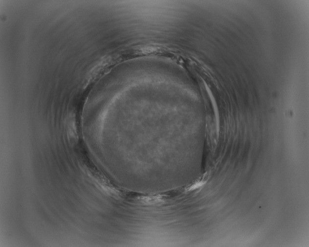 X0000067890524200605041555