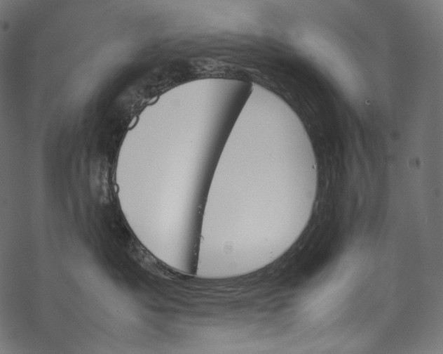 X0000067890525200605041555