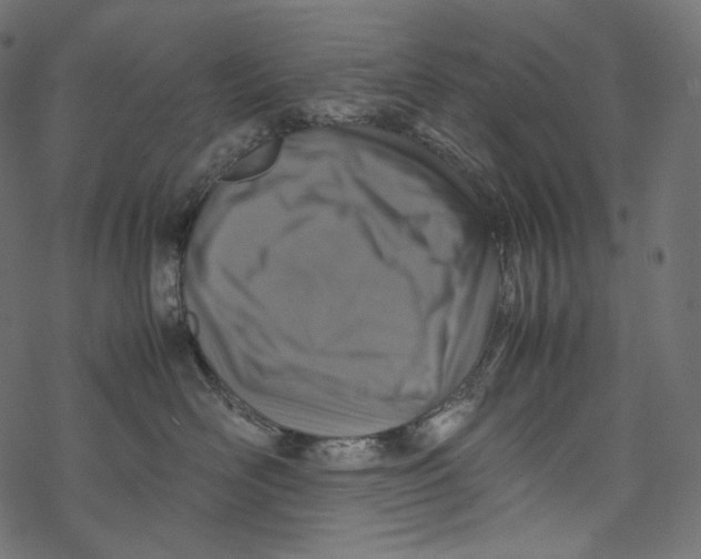 X0000067890526200605041555