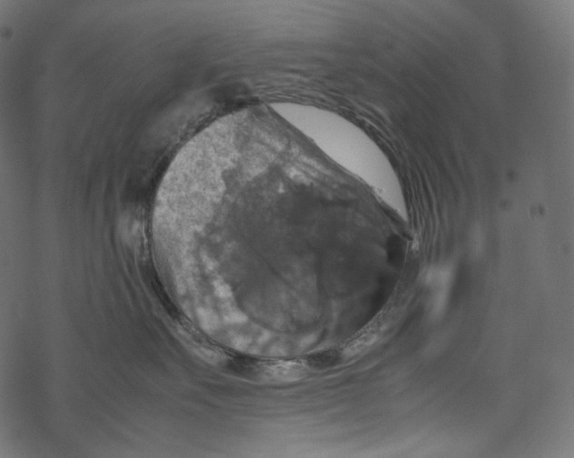 X0000067890527200605041555