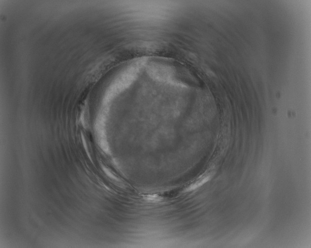 X0000067890528200605041555