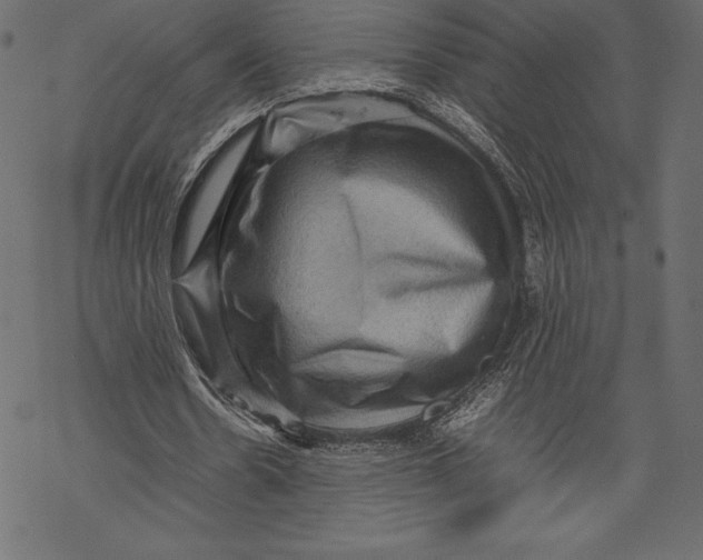 X0000067890530200605041555