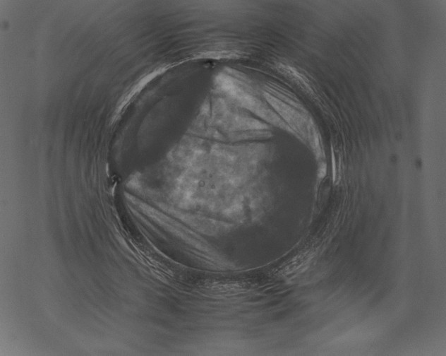 X0000067890531200605041555