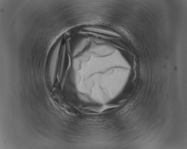 X0000067890532200605041555