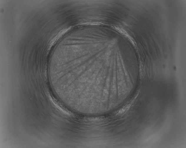 X0000067890533200605041555