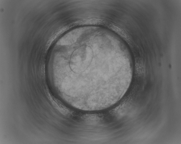 X0000067890534200605041555