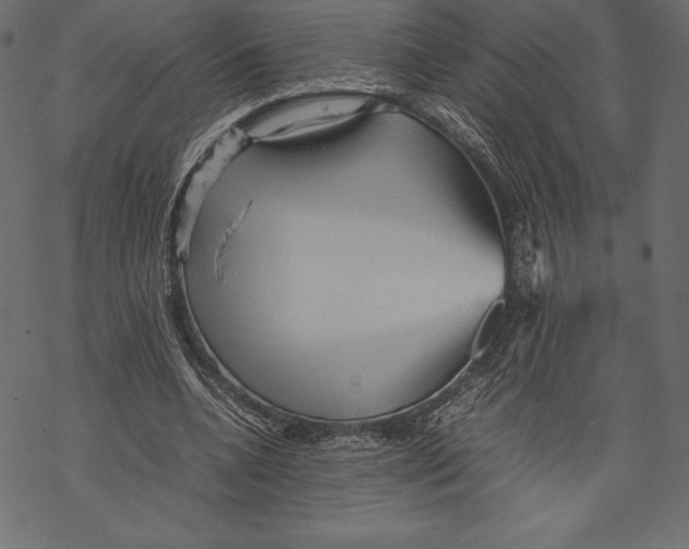 X0000067890536200605041555