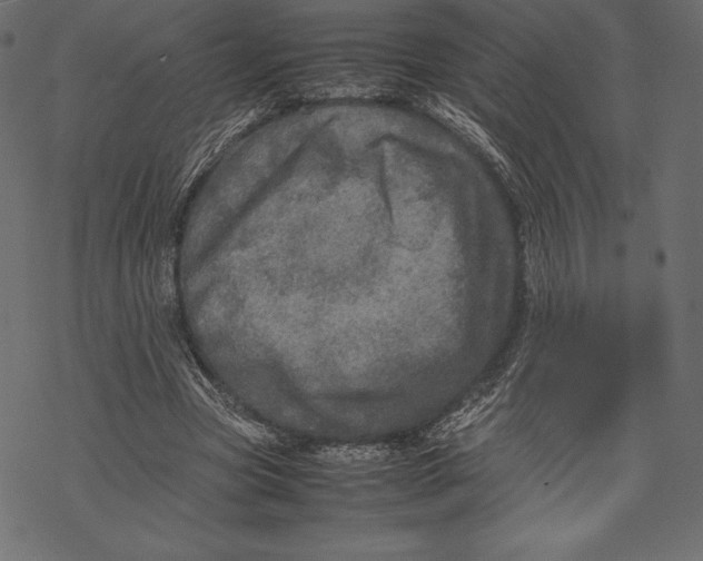 X0000067890537200605041555