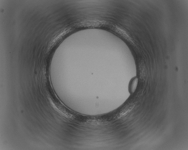 X0000067890538200605041555