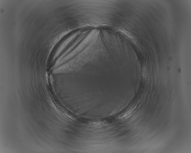 X0000067890540200605041555