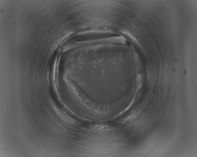 X0000067890542200605041555