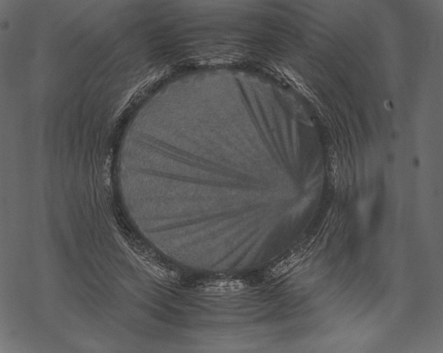 X0000067890543200605041555