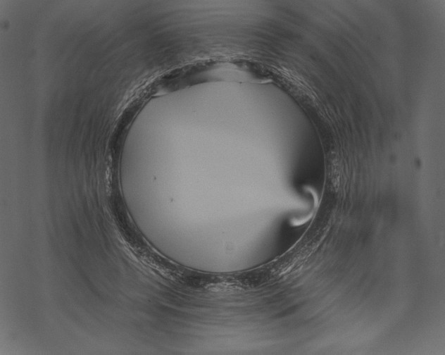 X0000067890544200605041555