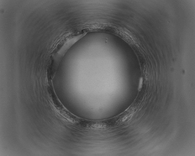 X0000067890546200605041555