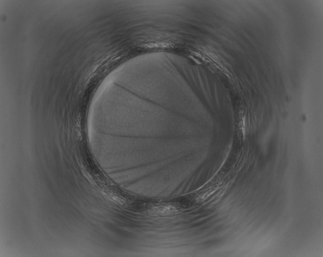 X0000067890547200605041555