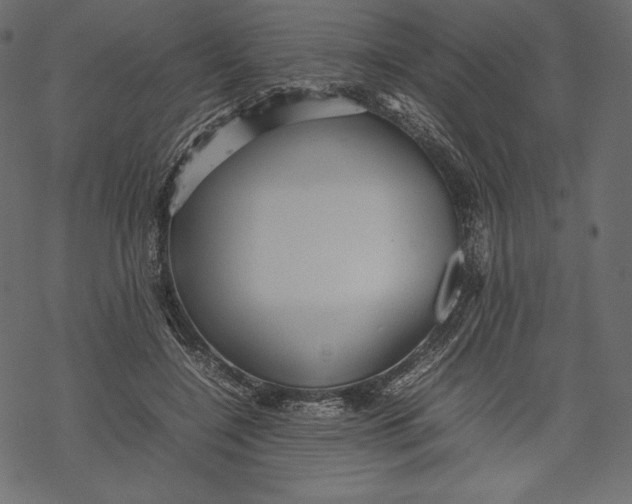 X0000067890548200605041555