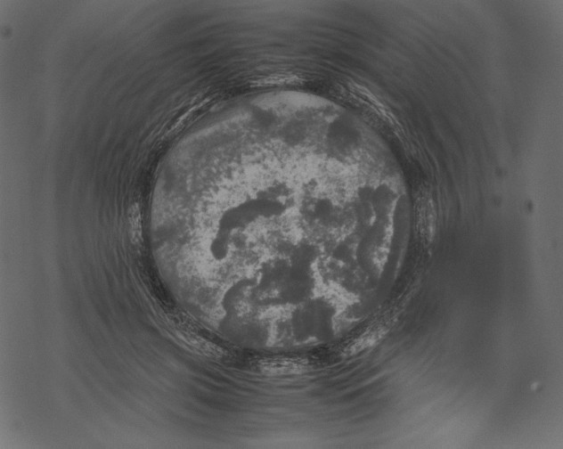 X0000067890549200605041555