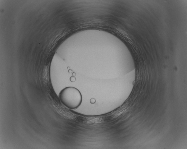 X0000067890550200605041555