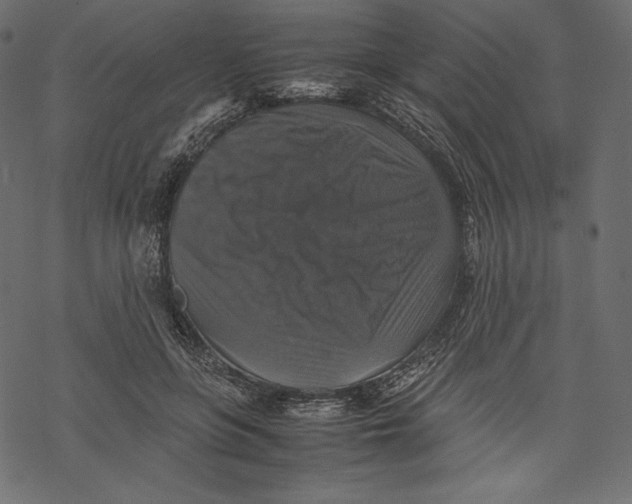 X0000067890551200605041555