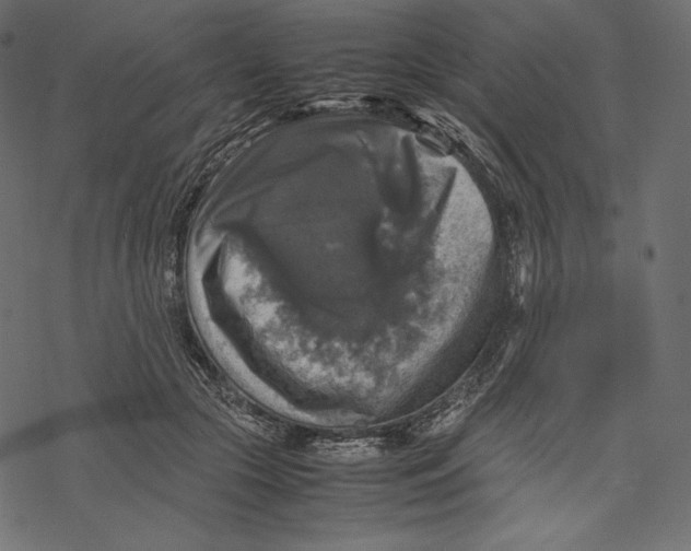 X0000067890553200605041555