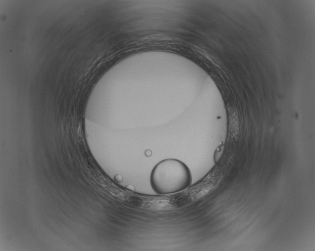 X0000067890554200605041555