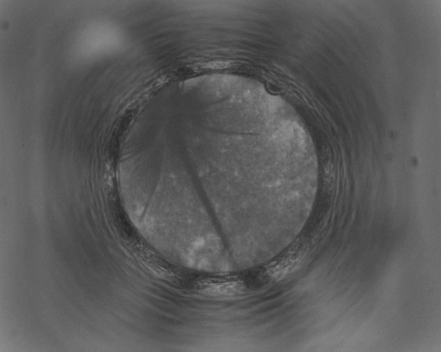 X0000067890555200605041555