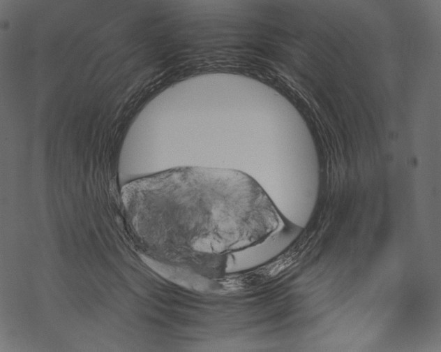 X0000067890557200605041555